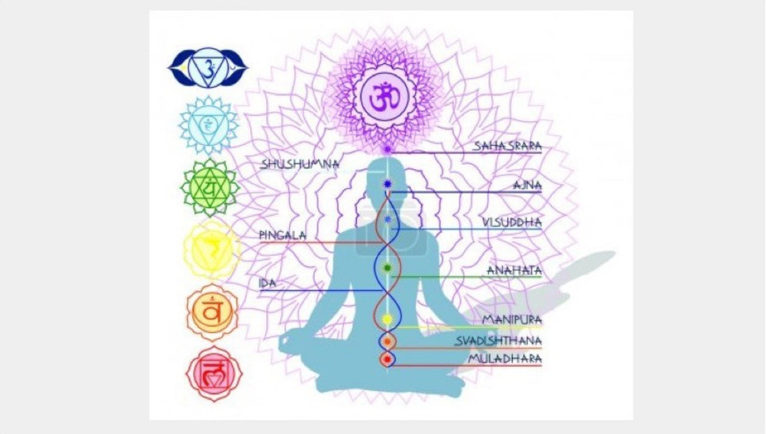 Les 7 chakras