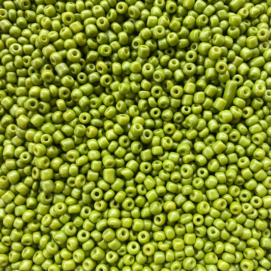 X10gr Perle Rocaille vert pistache 4mm #57