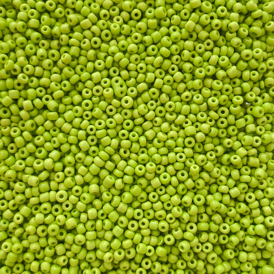 X10gr Perle Rocaille vert opaque pistache 3mm #49