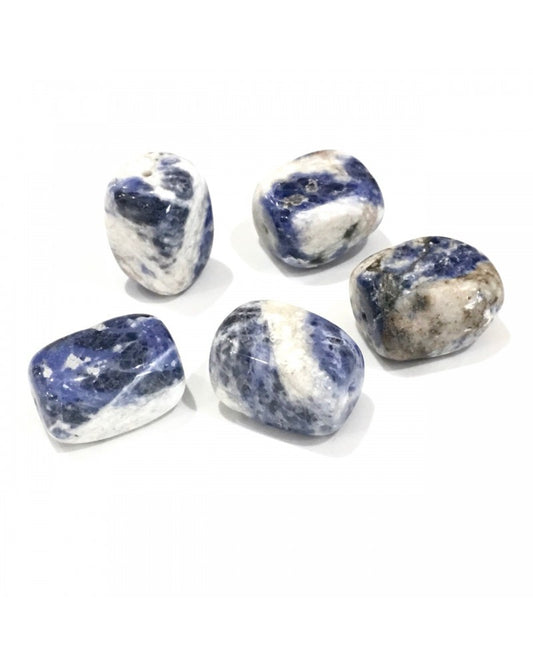 x1 Pierre Sodalite 18x13mm.