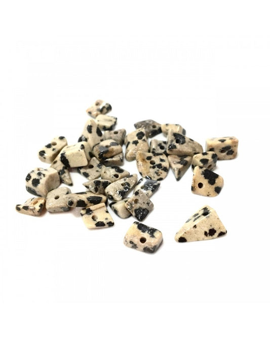 X100 Pierre Chips jaspe dalmatien 4/5mm